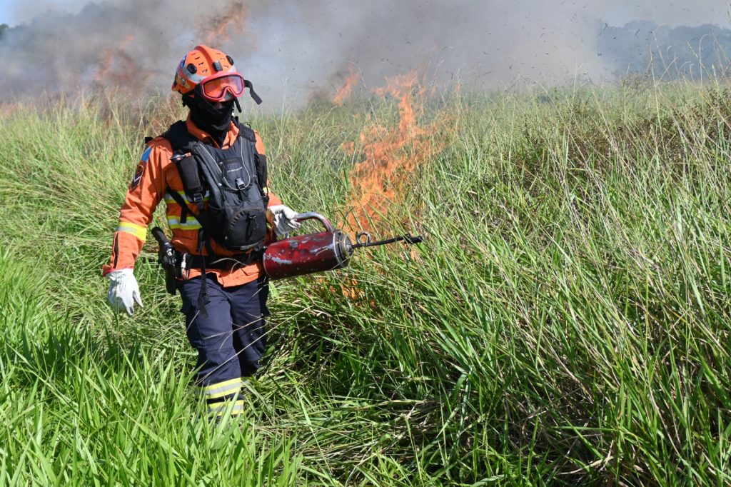 Foto: Reprodução/Secom Mato Grosso do Sul