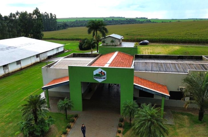 Da pesquisa à lavoura: Fundação MS transforma ciência em decisões mais seguras para o agro Da pesquisa à lavoura: Fundação MS transforma ciência em decisões mais seguras para o agro