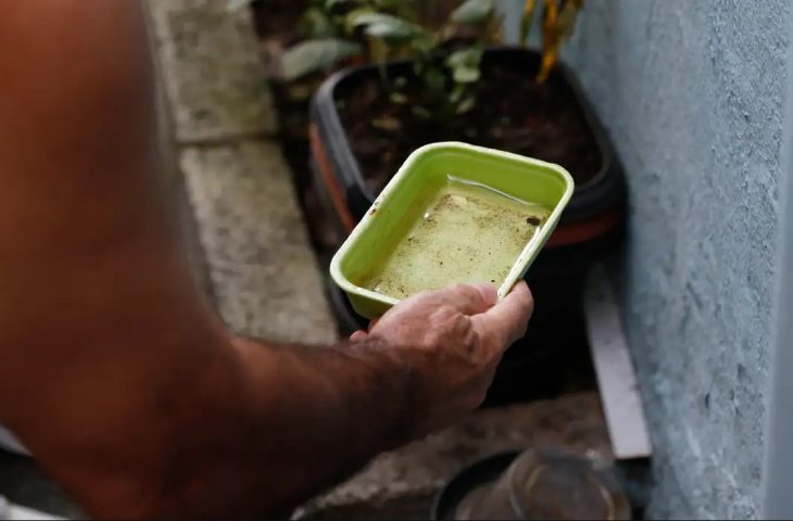 LIRAa de maio orienta ações de prevenção às arboviroses em Mato Grosso do Sul LIRAa de maio orienta ações de prevenção às arboviroses em Mato Grosso do Sul