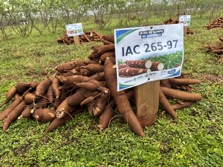 Foto: Reprodução/Secom Mato Grosso do Sul