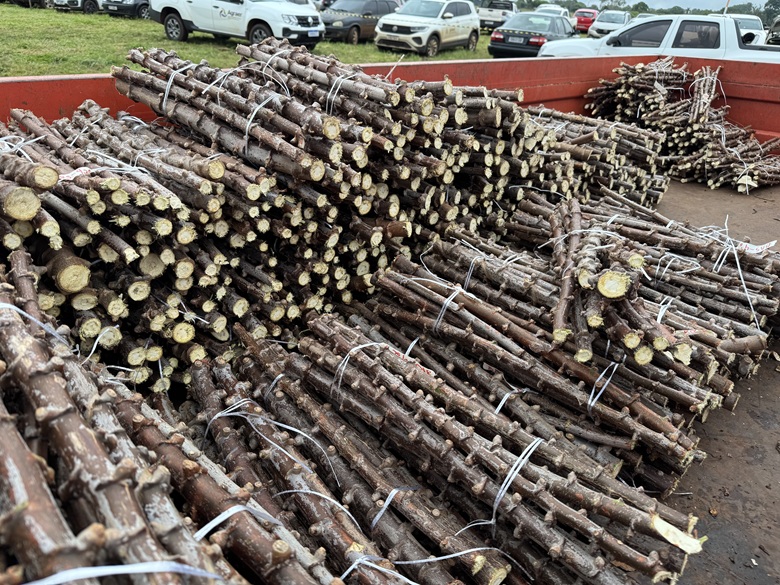 Foto: Reprodução/Secom Mato Grosso do Sul