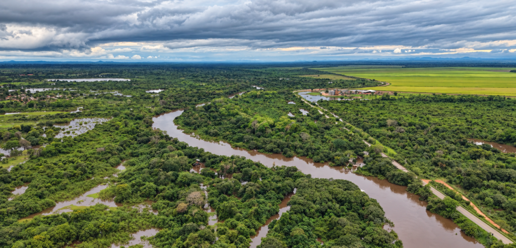>Rio Miranda teve queda da elevação (Foto: Ricardo Campos Jr)