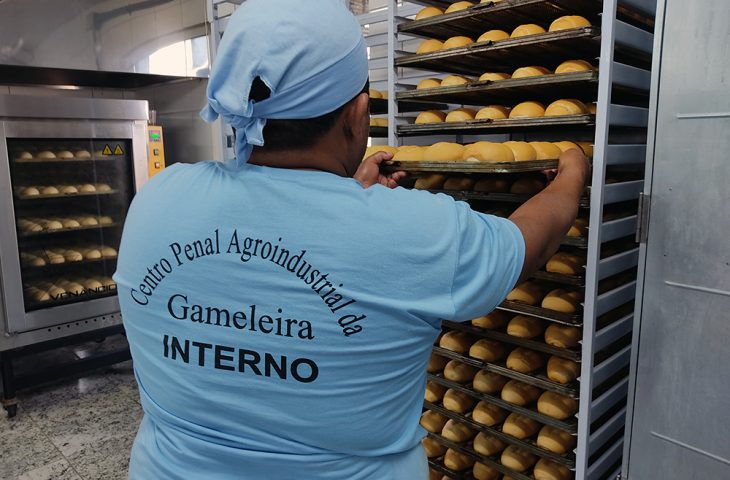 Foto: Reprodução/Secom Mato Grosso do Sul
