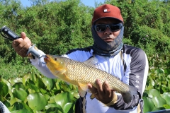 1º Encontro de pesca Cota Zero no Passo do Lontra - Foto Edemir Rodrigues (16)