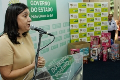 4ª Campanha  Doação de Brinquedos (92)