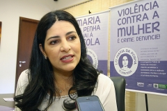 Apresentação do balanço da campanha-Agosto Lilas - Foto Edemir Rodrigues (2)