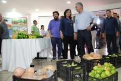 Agricultura familia-Dourados (2)