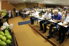 Agricultura familia-Dourados (8)