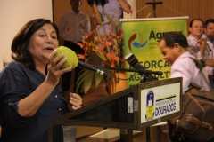 Agricultura familia-Dourados (9)