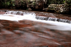 Trilha do Jequitibá ou Salto da Lage - Foto Edemir Rodrigues (102)