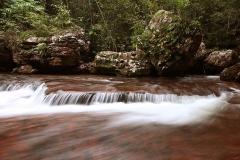 Trilha do Jequitibá ou Salto da Lage - Foto Edemir Rodrigues (103)