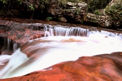 Trilha do Jequitibá ou Salto da Lage - Foto Edemir Rodrigues (86)