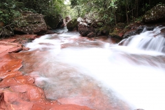 Trilha do Jequitibá ou Salto da Lage - Foto Edemir Rodrigues (90)