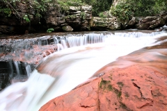 Trilha do Jequitibá ou Salto da Lage - Foto Edemir Rodrigues (92)