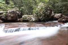 Trilha do Jequitibá ou Salto da Lage - Foto Edemir Rodrigues (96)