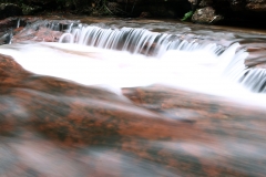 Trilha do Jequitibá ou Salto da Lage - Foto Edemir Rodrigues (98)