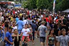 Carnaval-esplanada (258)