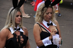 Carnaval-esplanada (262)