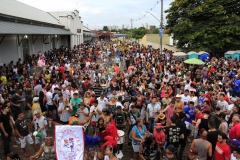 Carnaval-esplanada (342)