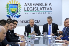 Governo apresenta projetos na Ass. Legislativa - Foto Edemir Rodrigues (13)