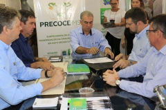 PRECOCE MS (15)