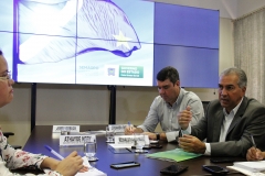 Coletiva (211)