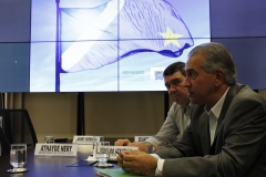 Coletiva (247)