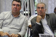 Coletiva (53)
