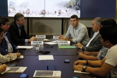 Coletiva (68)