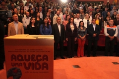 Cobertores (119)