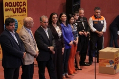 Cobertores (135)