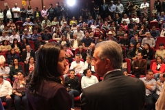 Cobertores (158)
