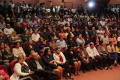Cobertores (174)