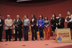 Cobertores (212)