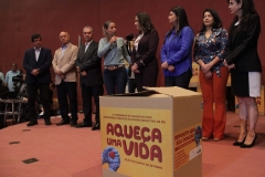 Cobertores (216)