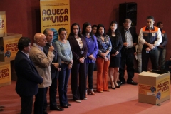 Cobertores (234)
