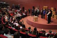 Cobertores (306)