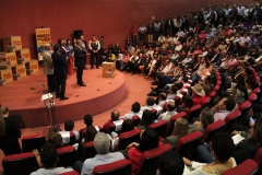 Cobertores (325)