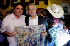 Cobertores (441)