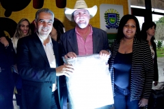 Cobertores (447)