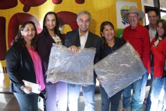 Cobertores (485)