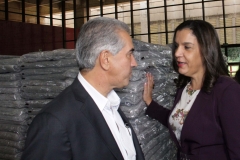 Cobertores (49)