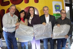 Cobertores (508)