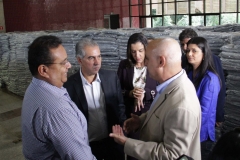 Cobertores (61)