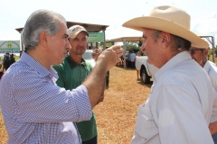 Assentamento Eldorado 2 (26)