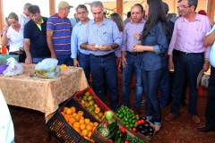 Assentamento Eldorado 2 (3)