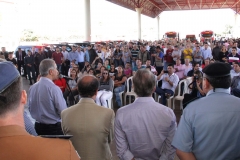 Paranaíba (443)