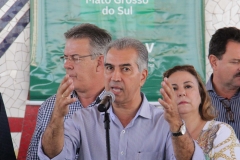 Paranaíba (503)