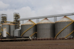COAMO-Sidrolândia (2)