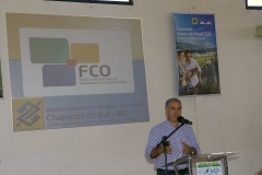 Fotos Edemir Rodrigues (10)